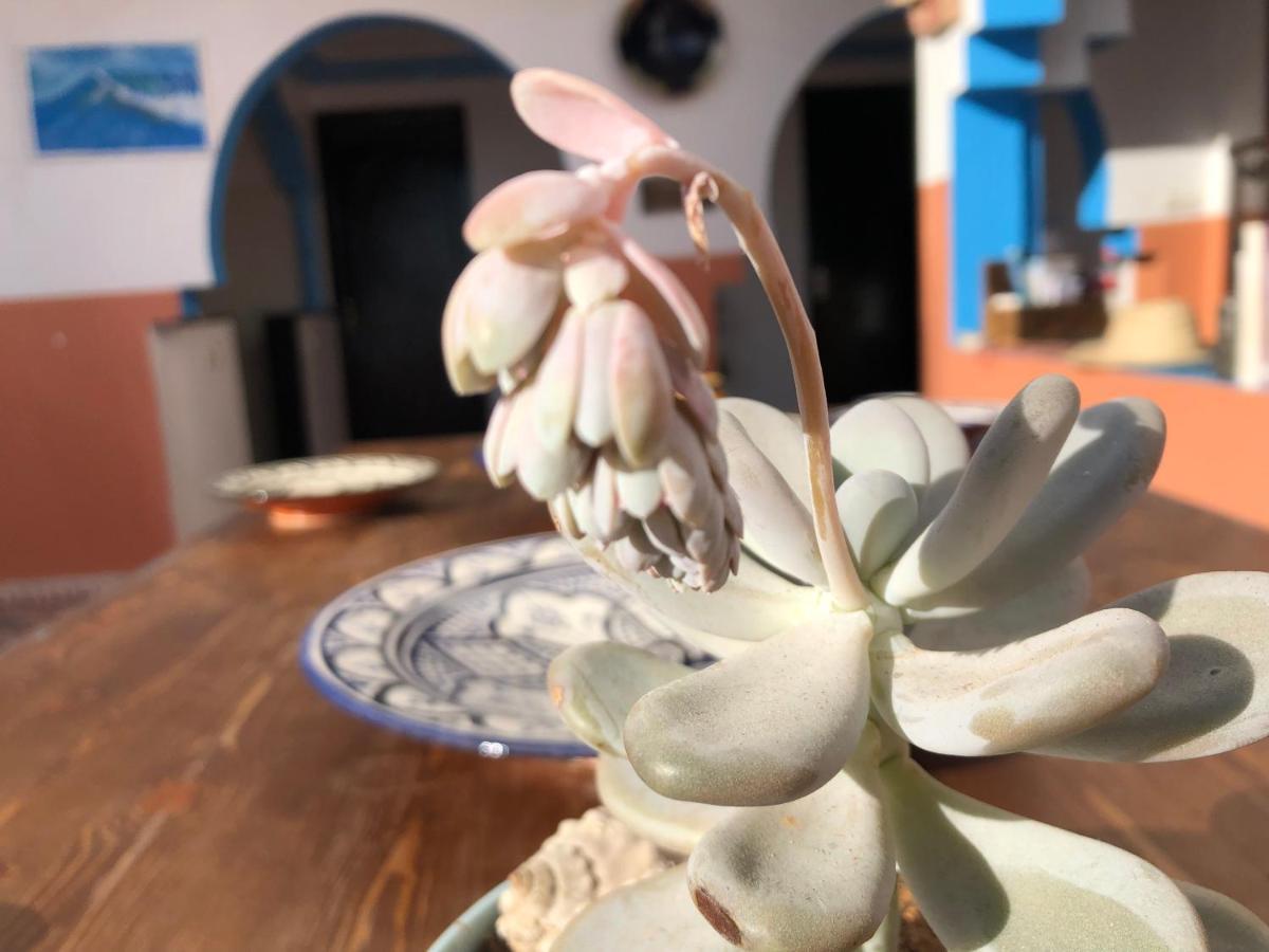 Bed and Breakfast Binic Surf House à Taghazout Extérieur photo