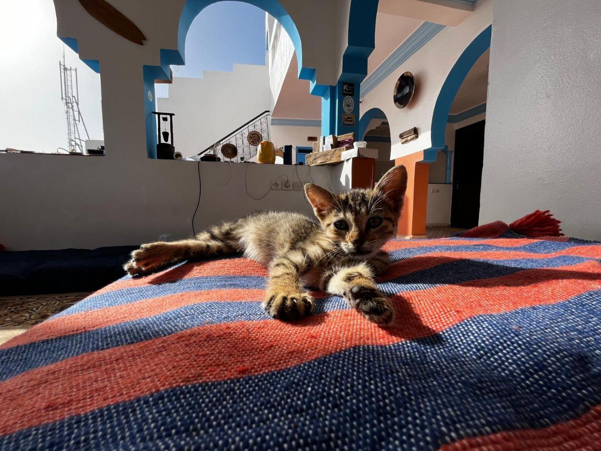 Bed and Breakfast Binic Surf House à Taghazout Extérieur photo